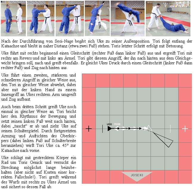 Auszüge der NageNoKata